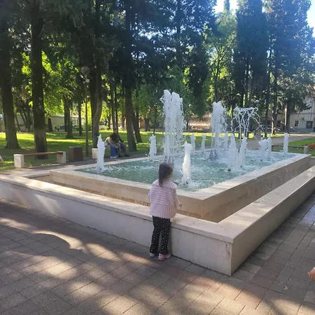 Sonja Требинье